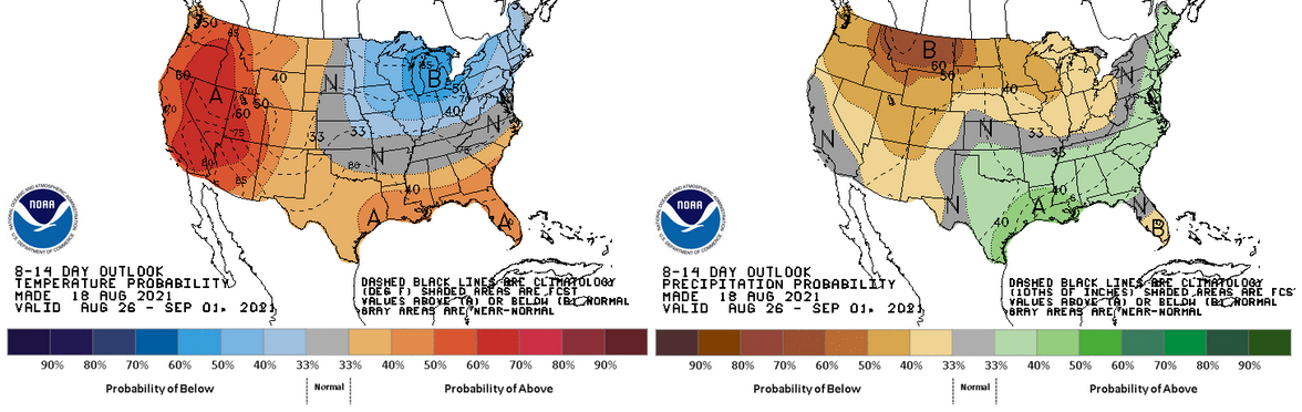 8&ndash;14 day outlook